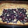 Vic_Sosa's cooksnap of when they made Blackberry Cobbler.
