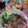 รูป Cooksnap ของ วิมลวรรณ คํากอนแก้ว เมื่อเขาทำ ขาหมูพะโล้