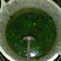 Cooksnap dari Nurul Riskiya untuk resep 11. Sup simple dan sehat daun kelor