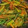 Cooksnap dari Rosmalina Nina untuk resep Acar kuning (buncis, timun, wortel)