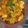 Simran Batra's cooksnap of when they made Masala veg macroni.
