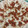 El cooksnap de ALEJANDRA SEGUER NEBOT cuando hizo Carpaccio de champiñones con vinagreta de tomates.