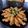 รูป Cooksnap ของ Wilalee Thanans เมื่อเขาทำ ปีกไก่ทอดตะไคร้