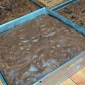 Cooksnap dari Kedah Tarso untuk resep Bolu pisang coklat panggang
