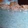 Cooksnap dari Syifa Li untuk resep Puding Lumut Blue Pea