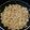 MannyMejia's cooksnap of when they made Shrimp Scampi.