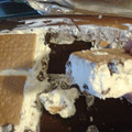 destinymoon1682's cooksnap of when they made Icebox Smores.