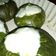 El cooksnap de Patricia Cantero cuando hizo Zapallitos rellenos al horno.