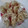 Cooksnap dari Lovely JoaNNa untuk resep Ladrang / Stik Bawang Renyah iritzzz + tips