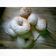 Cooksnap dari Sandra Risma untuk resep Donat pisang 🍌🍌🍌🍌