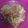 El cooksnap de Niishka Agnieszka cuando hizo Fideos caseros simples.