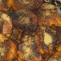 El cooksnap de ethel darosaflores cuando hizo Torrejas de pan.
