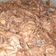 Cooksnap dari Nella Safitri untuk resep Tumis Daging ala Yoshinoya Citarasa Bulgogi