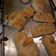 El cooksnap de victoria.Pach cuando hizo Amo hacer panes con grasa caseros.