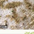 صورة من Rasha Othman، شاركها بعد تجربة وصفة ليالي لبنان