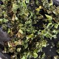 Sonia's cooksnap of when they made Kale Chips.