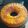 El cooksnap de Gise Kaufmanas cuando hizo Torta invertida de mandarinas.