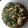รูป Cooksnap ของ สุภาพร ปันพรม เมื่อเขาทำ ผักบุ้งนาผัดกะปิใส่ไข่