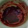 Cooksnap dari Suzan Project untuk resep Selai strawberry homemade (584)