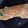 El cooksnap de Vir cuando hizo Omelette.