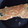 El cooksnap de Vir cuando hizo Omelette.