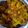 Kalsum khan का कुकस्नैप जब उन्होंने गोभी आलू की सब्जी (Gobhi aloo ki sabzi recipe in hindi) बनाया था।