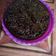 Cooksnap dari Radha fitriia untuk resep Brownies oreo kukus