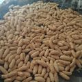 Cooksnap dari Tri Wahyuni untuk resep Keciput renyah dan ekonomis