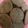 Cooksnap dari Chenchen cake's untuk resep CHOCOLATE Butter Cookies