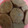 Cooksnap dari Chenchen cake's untuk resep CHOCOLATE Butter Cookies
