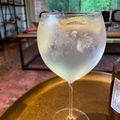 El cooksnap de poramoralhambre cuando hizo Vodka tonic 🍹.