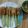 Cooksnap dari Princess's Kitchen untuk resep Sate Lilit Ayam