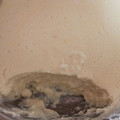 El cooksnap de Catherin Buela cuando hizo Crema de Tapioca.