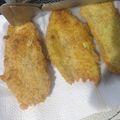 El cooksnap de araceli gonzalez cuando hizo Milanesas de berenjenas 🍆 con ensalada de tomate 🍅.