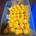 Cooksnap dari Rudi Nurdiansyah untuk resep Nastar 1/2 kg (lembut,lumer dan glowing)