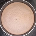 El cooksnap de Rosana Campos cuando hizo Torta de avena, banana y chispas de choco 😀🍫.