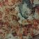 Cooksnap de Jl P sur la recette Gratin de chou fleur au saumon