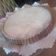 El cooksnap de Estresha Miau cuando hizo Tarta de ricota FÁCIL.