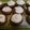 El cooksnap de Alicia cuando hizo Cupcakes de Chocolate.