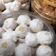 Cooksnap dari Febyana Gita Ramadyanti untuk resep KUE PUTRI SALJU Rapuh, renyah dan lumeeeer banget