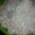 Cooksnap dari maria ulfa untuk resep Keripik tempe pati/kanji/sagu renyah