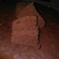 Cooksnap dari Vievie untuk resep Brownies kukus Ny. Liem