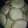 El cooksnap de Monica Sanchez Moreno cuando hizo Galletitas de polenta.