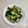 Williann Lam 的 不用調味、史上最簡單｜鹹蛋節瓜 cooksnap