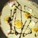 Cooksnap dari Tania Safitri untuk resep CREPES /LEKER CRISPY
