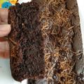 Cooksnap dari Donaalvionika Donaalvionika untuk resep Brownies Kacang Panggang Lembut