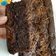 Cooksnap dari Donaalvionika Donaalvionika untuk resep Brownies Kacang Panggang Lembut