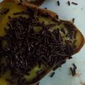 Cooksnap dari siti yuli yani untuk resep Martabak Mini Bolu Bersarang