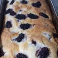 El cooksnap de ANA ELISA CARRASCO cuando hizo Budín de Mora y Limón-BUDINES 🎅🏼🎄NAVIDEÑOS🎄🎅🏼ARGENTINOS🇦🇷DE NARANJA 🍊Y DE MANZANA @tatakiki.
