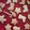 El cooksnap de Anita Liendo cuando hizo Galletitas navideñas de jengibre y miel.